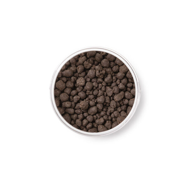 inverso_bonajuto_int