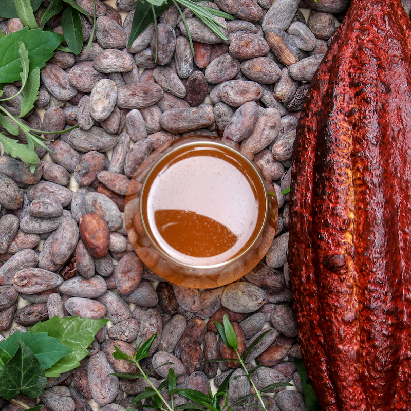 Infuso di Cacao Bonajuto