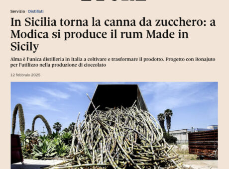 Bonajuto e Alma